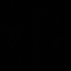 Meet your Posher, Naomi